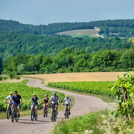 Privat bolig Maison Blanc De Blanc - Guest In A Family